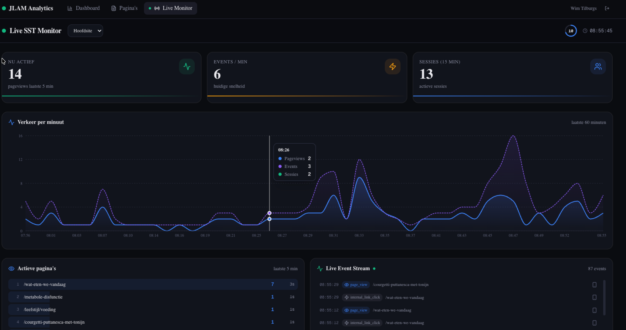 Live SST Monitor — realtime verkeer per minuut, actieve pagina's en event stream